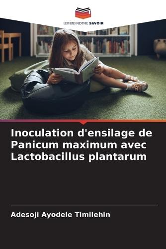 Inoculation d'ensilage de Panicum maximum avec Lactobacillus plantarum