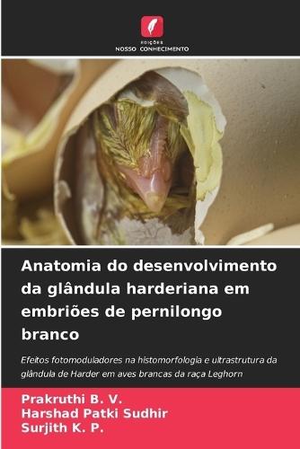 Anatomia do desenvolvimento da glândula harderiana em embriões de pernilongo branco