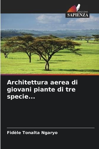 Architettura aerea di giovani piante di tre specie...