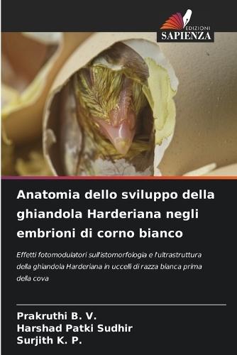 Anatomia dello sviluppo della ghiandola Harderiana negli embrioni di corno bianco