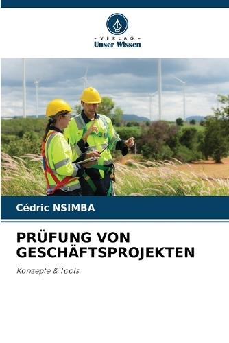 Prüfung Von Geschäftsprojekten