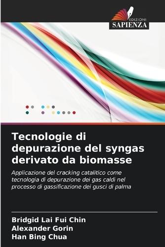 Tecnologie di depurazione del syngas derivato da biomasse
