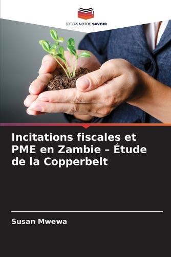 Incitations fiscales et PME en Zambie - Étude de la Copperbelt