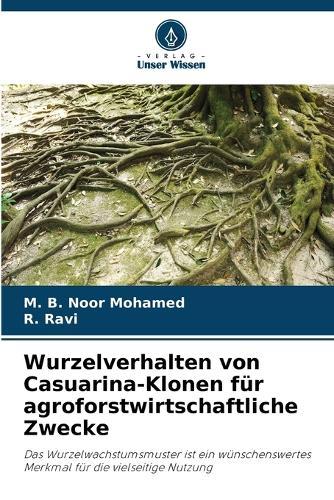 Wurzelverhalten von Casuarina-Klonen für agroforstwirtschaftliche Zwecke