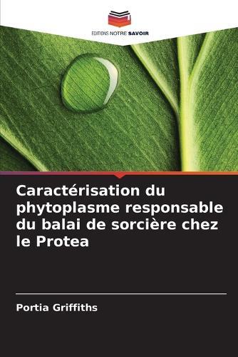 Caractérisation du phytoplasme responsable du balai de sorcière chez le Protea