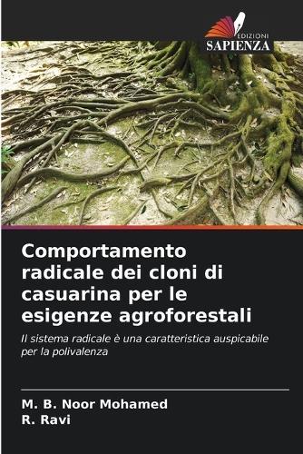 Comportamento radicale dei cloni di casuarina per le esigenze agroforestali