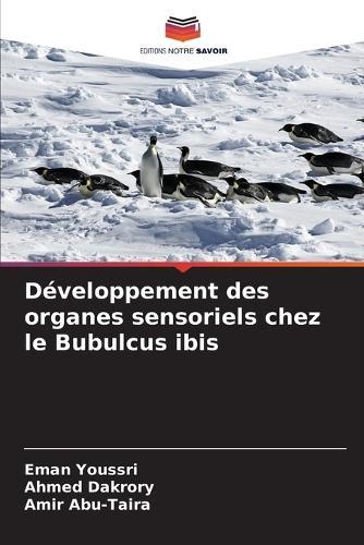 Développement des organes sensoriels chez le Bubulcus ibis