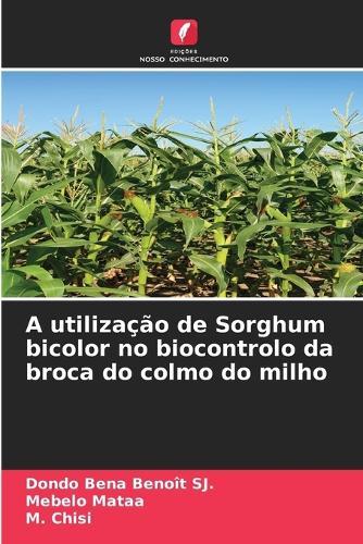 A utilização de Sorghum bicolor no biocontrolo da broca do colmo do milho