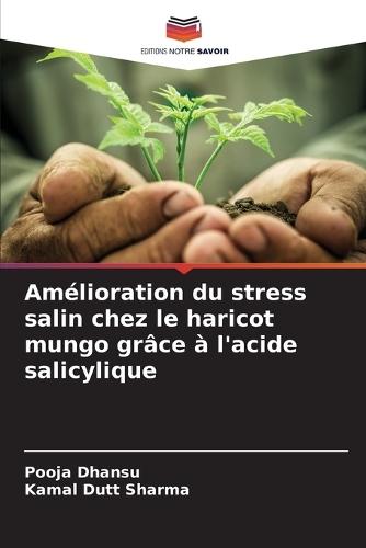 Amélioration du stress salin chez le haricot mungo grâce à l'acide salicylique