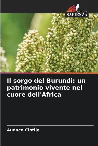 Il sorgo del Burundi: un patrimonio vivente nel cuore dell'Africa