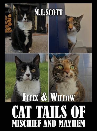 Felix & Willow cat tails of mischief and mayhem