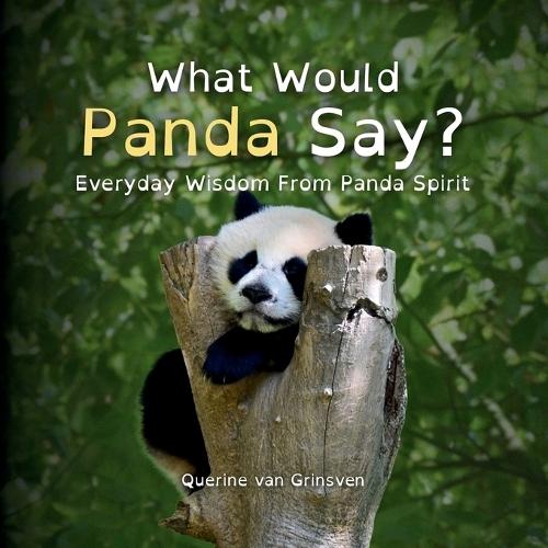 What Would Panda Say?: Everyday Wisdom from Panda Spirit