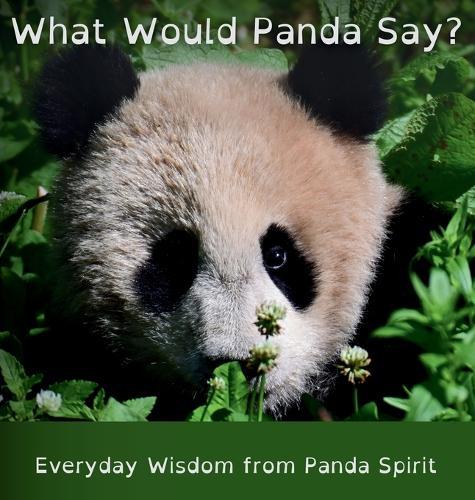 What Would Panda Say?: Everyday Wisdom from Panda Spirit