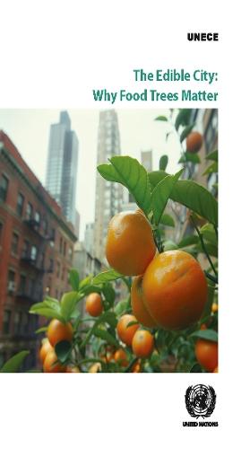 The Edible City: Why Food Trees Matter: More Than Just Shade: the Benefits of Nature-based Solutions for More Resilient Cities