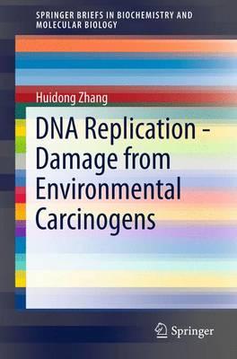 DNA Replication: Damage from Environmental Carcinogens