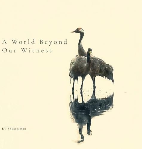A World Beyond Our Witness