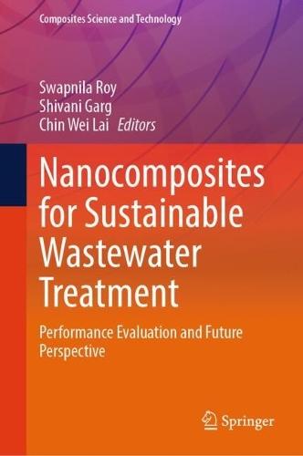 Nanocomposites for Sustainable Wastewater Treatment: Performance Evaluation and Future Perspective