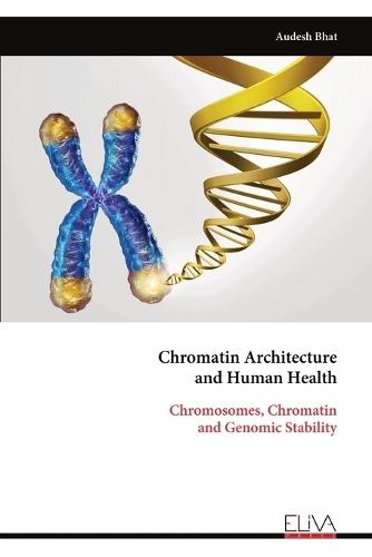 Chromatin Architecture and Human Health: Chromosomes, Chromatin and Genomic Stability