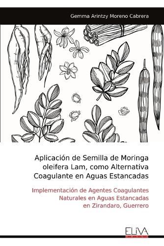 Aplicación de Semilla de Moringa oleifera Lam, como Alternativa Coagulante en Aguas Estancadas