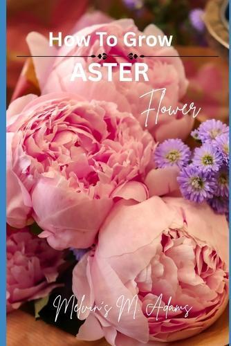 How to grow Aster flowers for beginners: The Ultimate Beginner's Guide to Growing, Caring for, and Harvesting Asters at Home and garden
