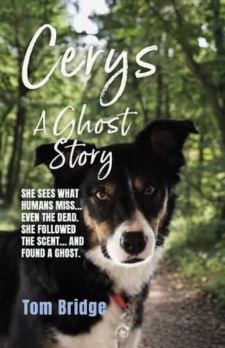 Cerys, A Ghost Story: A supernatural murder mystery