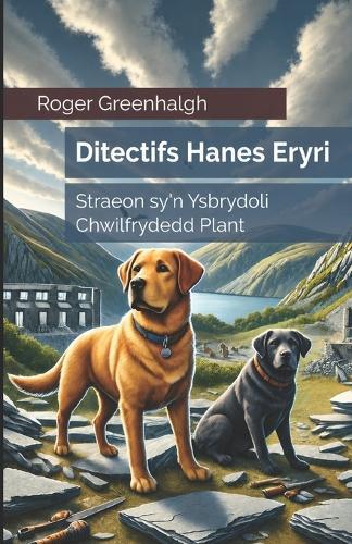 Ditectifs Hanes Eryri: Straeon sy'n Ysbrydoli Chwilfrydedd Plant