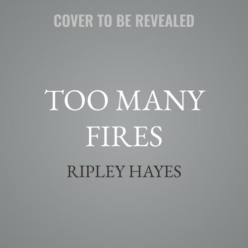 Too Many Fires: A Gay Mystery