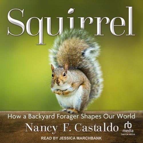 Squirrel: How a Backyard Forager Shapes Our World