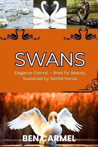 Swans: Elegance Eternal - Bred for Beauty, Sustained by Gentle Hands