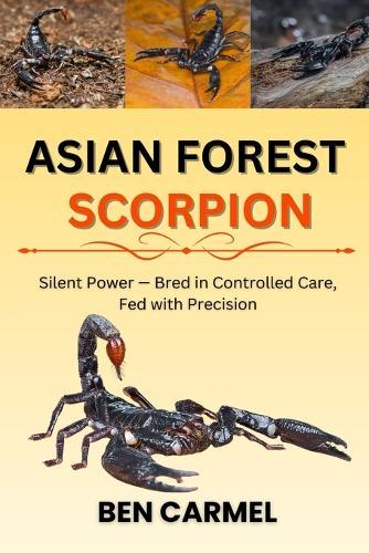 Asian Forest Scorpion: Silent Power - Bred in Controlled Care, Fed with Precision