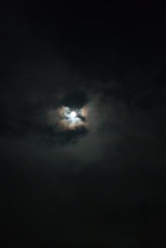 Le Poesie di Cuore di Tenebra