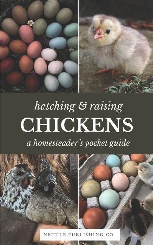 Hatching & Raising Chickens A Homesteader's Pocket Guide: A Detailed Guide to Incubating, Hatching, and Raising Healthy Heritage Chickens for Homesteaders and Backyard Flocks
