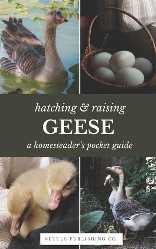 Hatching & Raising Geese A Homesteader's Pocket Guide: A Detailed Guide to Incubating, Hatching, and Raising Healthy Heritage Geese for Homesteaders and Backyard Flocks