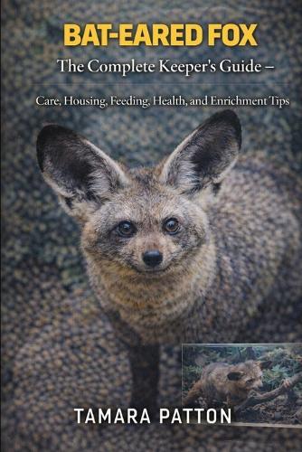 Bat-Eared Fox: The Complete Keeper's Guide - Care, Housing, Feeding, Health, and Enrichment Tips