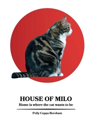 House of Milo: Home is where the cat wants to be