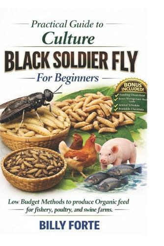Practical Guide to Culture BLACK SOLDIER FLY For Beginners: Low Budget Methods to produce Organic feed for fishery, poultry, and swine farms.