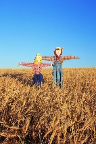 Small Words, Strong Days: Small Words That Create Lasting Change