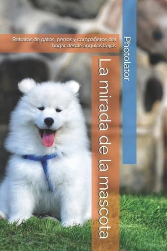 La mirada de la mascota: Retratos de gatos, perros y compañeros del hogar desde ángulos bajos