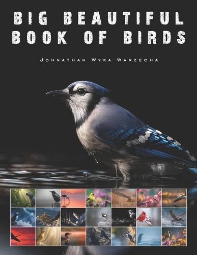 Big Beautiful Book of Birds: Large Two Page Pictures of Avian Wildlife Coffee Table Book