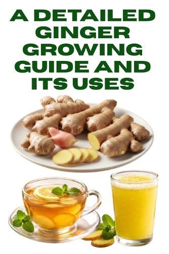 A Detailed Ginger Growing Guide and Its Uses