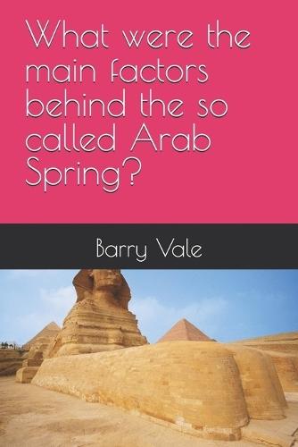 What were the main factors behind the so called Arab Spring?