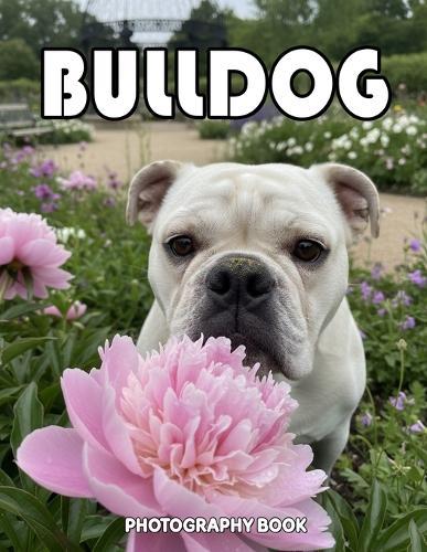 Bulldog Photography Book: A Heartwarming Visual Tribute To The Loyal Bulldog