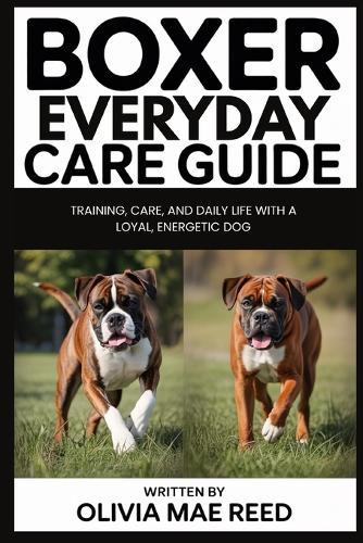 Boxer Everyday Care Guide: Training, care, and daily life with a loyal, energetic dog