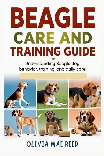 Beagle Care and Training Guide: Understanding Beagle dog behavior, training, and daily care
