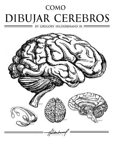 Cómo Dibujar El Cerebro