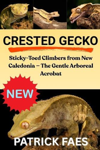 Crested Gecko: Sticky-Toed Climbers from New Caledonia - The Gentle Arboreal Acrobat