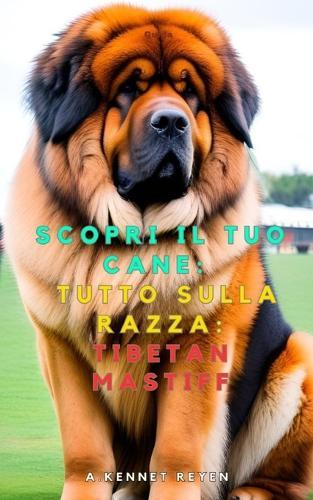 Scopri il tuo Cane: Tutto sulla razza: Tibetan Mastiff o Mastino Tibetano