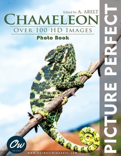 Chameleon: Picture Perfect Photo Book