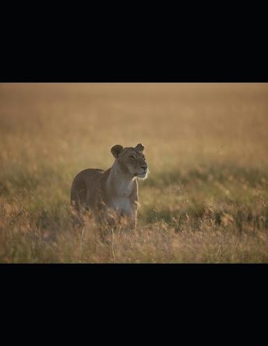 Keys To Life Cross Forgiveness and Grace: An attempt to meet the desires of people to access the very ""Keys To Life.""