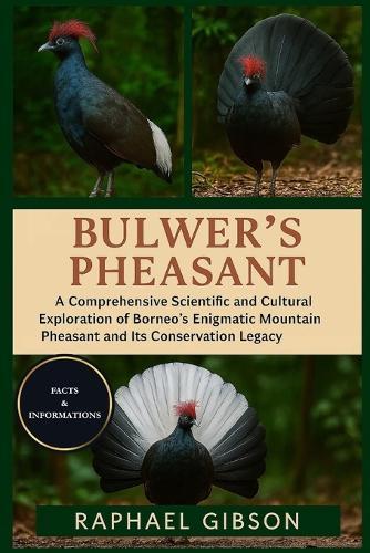 Bulwer's Pheasant: A Comprehensive Scientific and Cultural Exploration of Borneo's Enigmatic Mountain Pheasant and Its Conservation Legacy